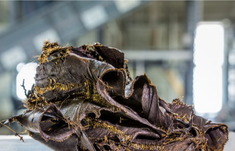 Algum Rec Material (1 von 1)